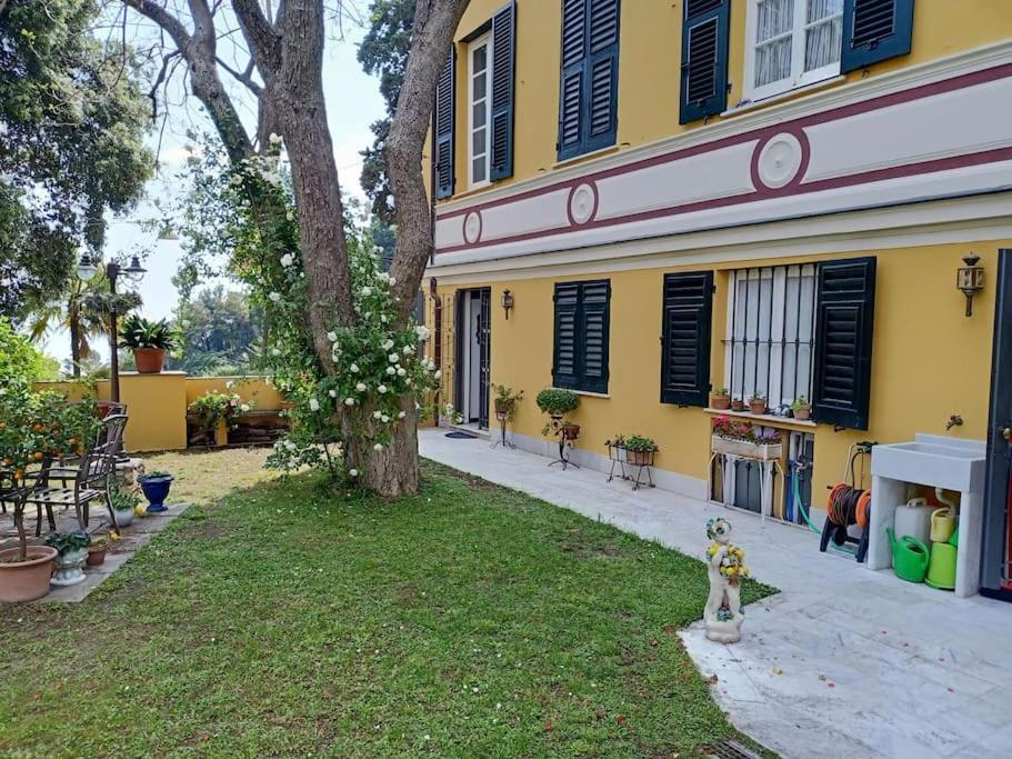 Casetta Jacaranda Janov Exteriér fotografie