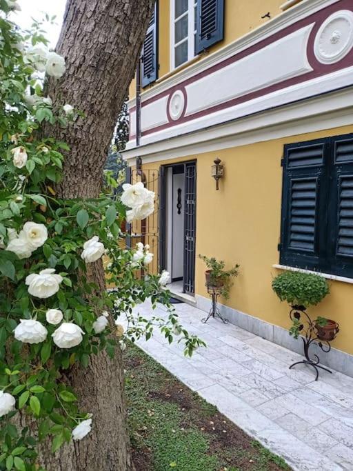 Casetta Jacaranda Janov Exteriér fotografie