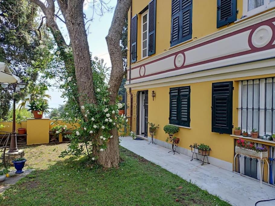 Casetta Jacaranda Janov Exteriér fotografie