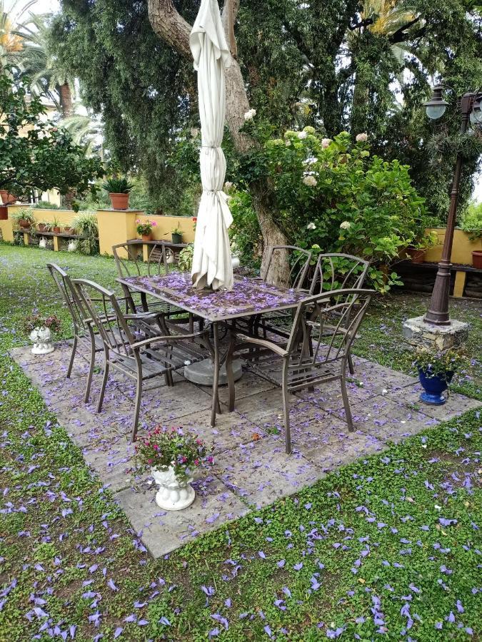 Casetta Jacaranda Janov Exteriér fotografie