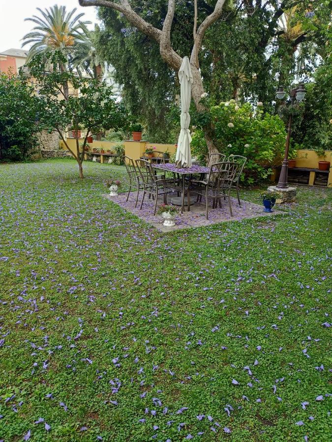 Casetta Jacaranda Janov Exteriér fotografie